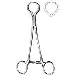 kościotrzymacz LEWIN 17,5cm