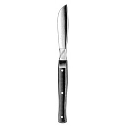 nóż sekcyjny z metalową rączką 21cm, ostrze 8cm